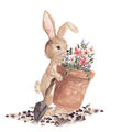 Image Not Available